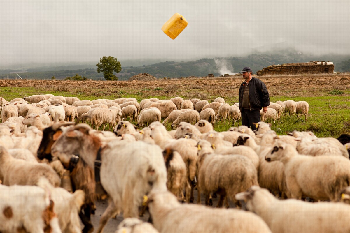 6627ba3423e27 Greece lumpan
