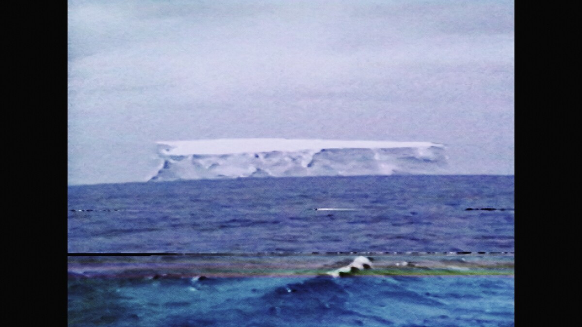 Terranova2