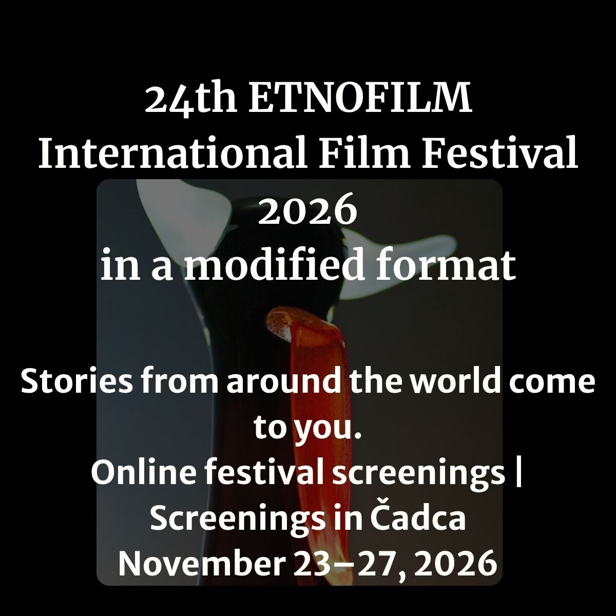 24. MFF ETNOFILM 2026 Tento rok online. Stále spolu. Medzinárodné dokumentárne filmy priamo k vám 23. 27. november 2026
