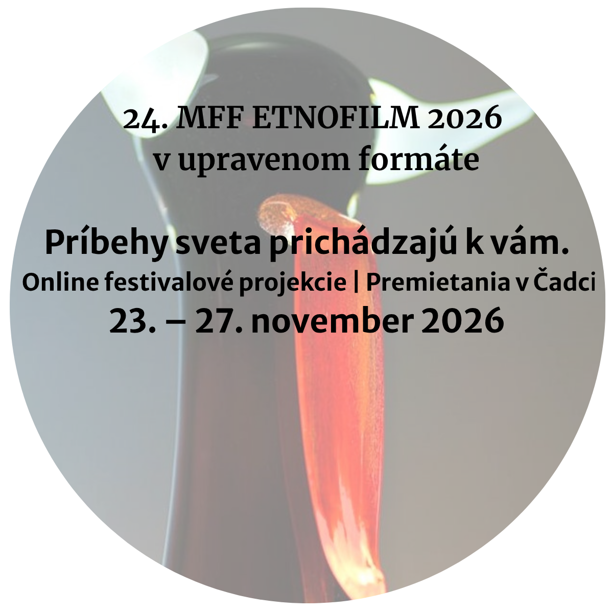 24. MFF ETNOFILM 2026 Tento rok online. Stále spolu. Medzinárodné dokumentárne filmy priamo k vám 23. 27. november 2026